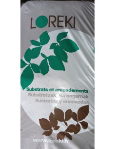 Terre de bruyère de sous-bois