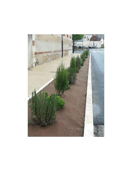 Agrospun (Rouleau de 100ml)