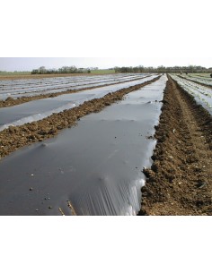 Paillage 40 microns noir