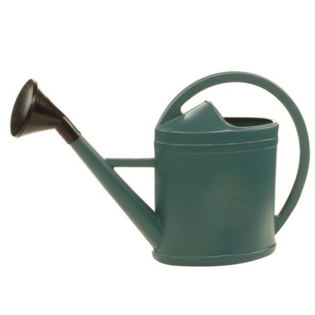 Arrosoir + pomme plastique 6L
