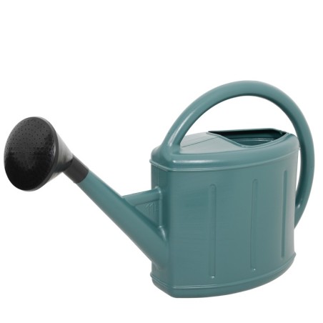 Arrosoir + pomme 11L