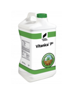 Vitanica P3