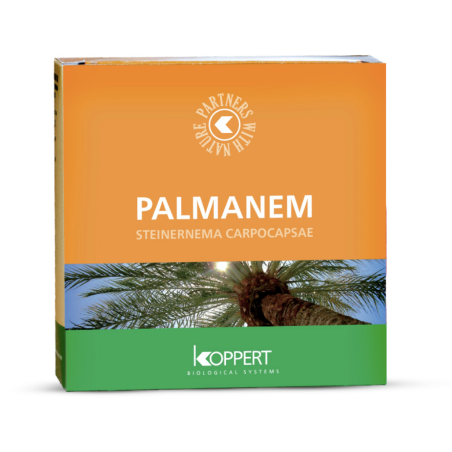 Palmanem