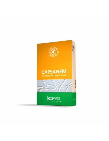 Capsanem