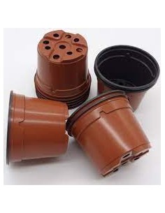 Pot VCG 10.5 PCR terracota