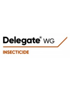 Delegate