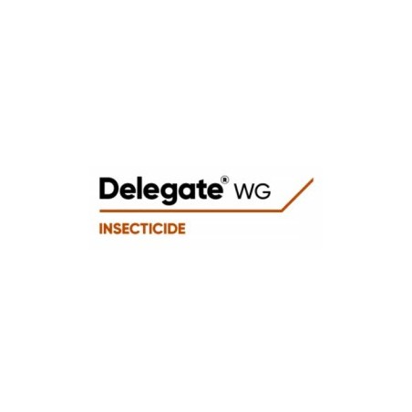 Delegate