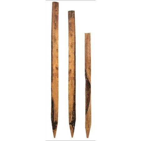 Piquet acacia fendu non écorcé