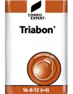 Triabon Fleurs 16.8.12...