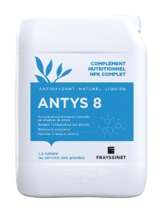 Antys 8