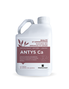 Antys CA